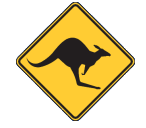 Irwin Skippycoin ICG Irwin Skippycoin ICG