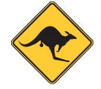 Irwin Skippycoin ICG